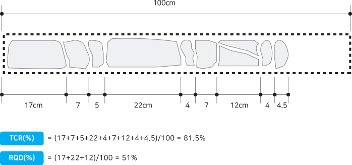 TCR/RQD 설명 이미지